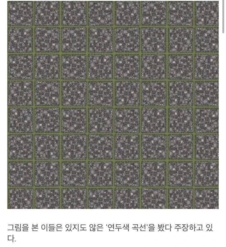 뇌를 농락하는 그림.jpg