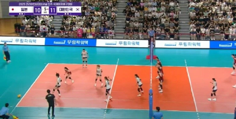 여자배구 한일전 이겼지만 욕먹고 부끄러운 이유