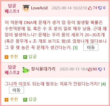 손상된 DNA 복구과정