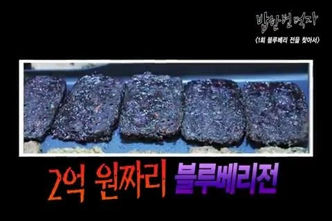 연구개발에만 2억...실체를 드러낸 전설속의 블루베리전_1.jpg