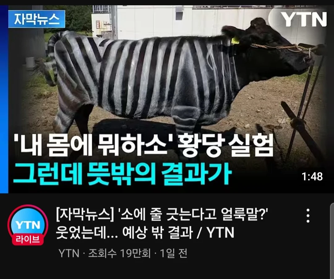 내 몸에 뭐하소