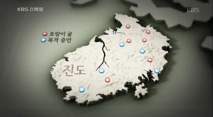 ??? : 한국의 귀여운 호랑이들을 살렸어야 했는데 일본 때문에 다 없어졌어!_2.jpg