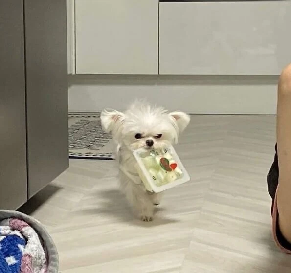 ??? : 쭈인아 이것좀 뜯어주라.JPG_3.jpg