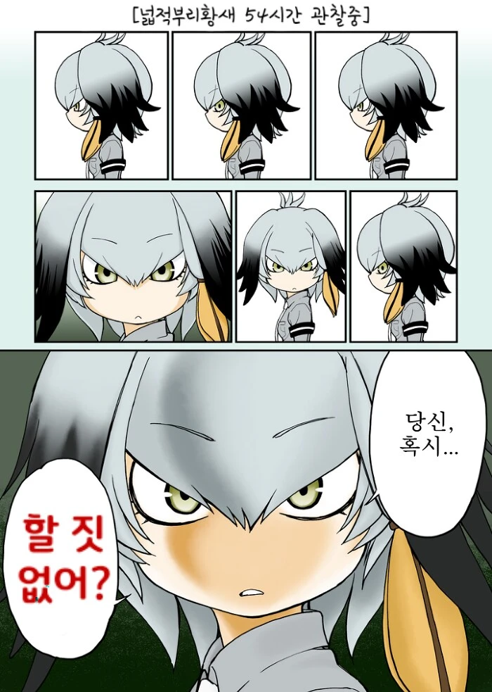 야생동물 잠복 촬영시 주의사항