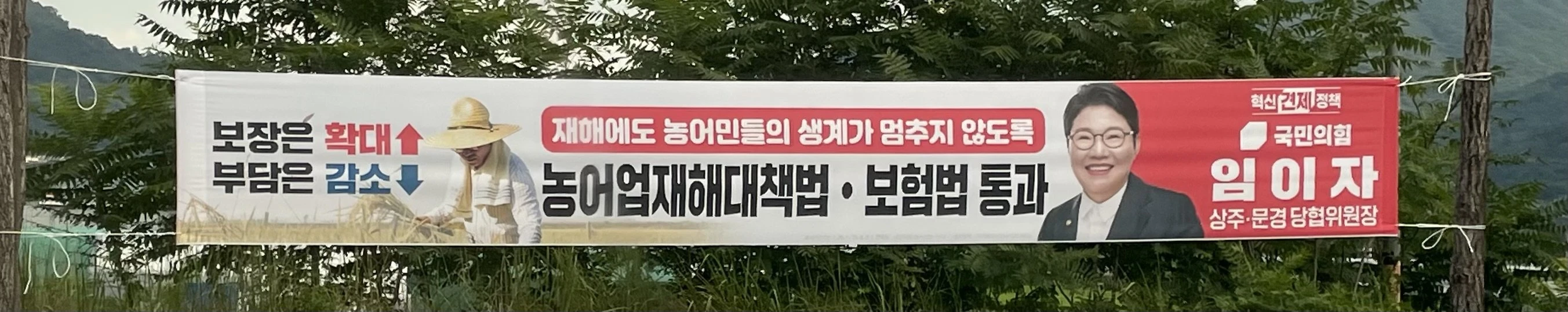 국힘이 이런 현수막을 붙이는데, 이거 못 막나요?