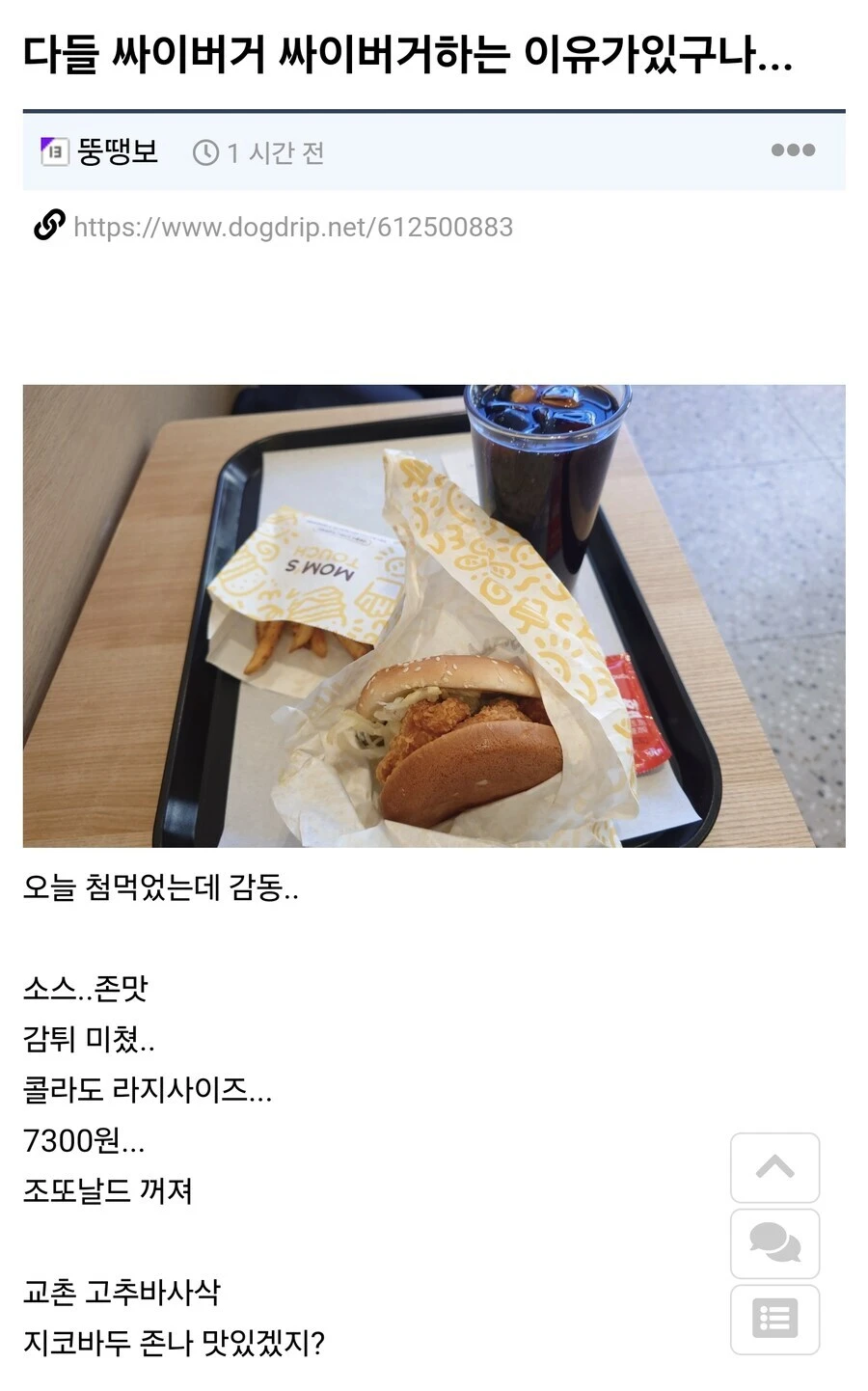 싸이버거 처음 먹어본 사람 후기.jpg