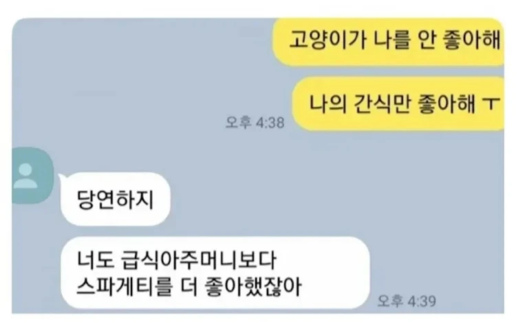 고양이가 나를 안 좋아해.