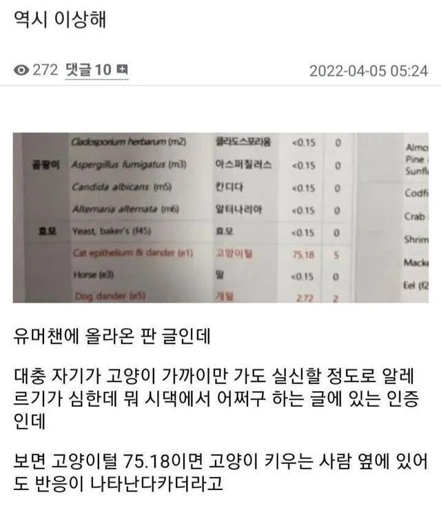 알레르기 검사 했는데 뭔가 이상하다.jpg