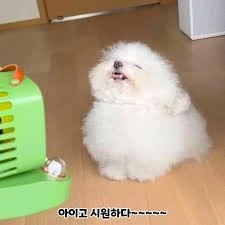 PSN 계정(이전동의/복구/공유) 관련해서 궁금해요._2.jpg