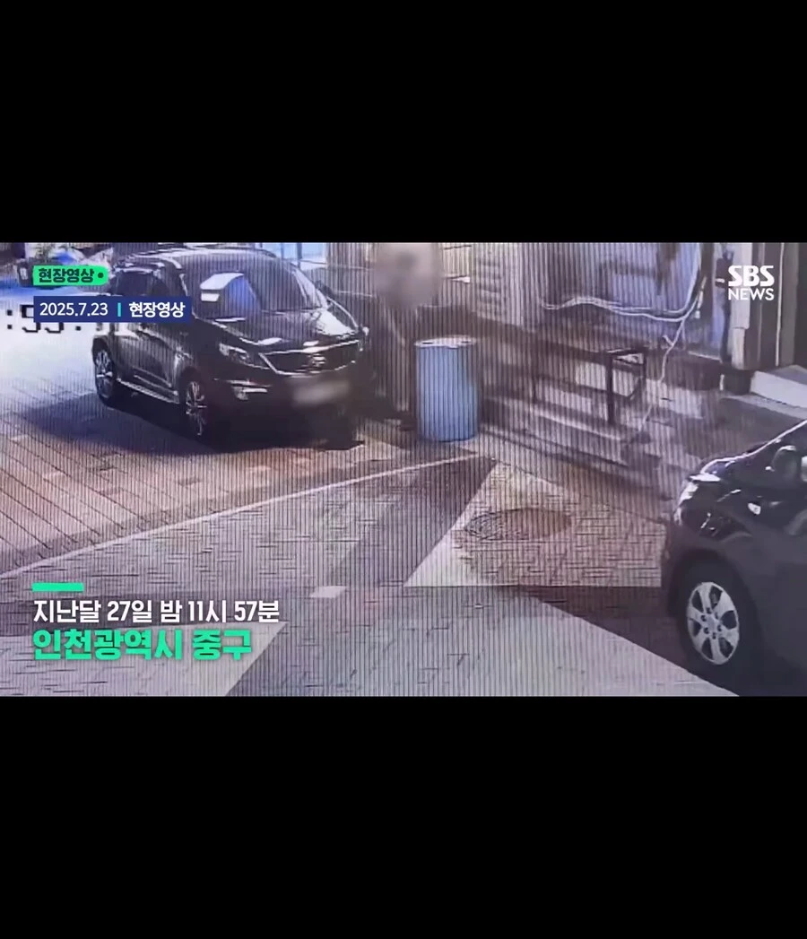 고양이가 할퀴어서 화가나 고양이를 죽인 남성