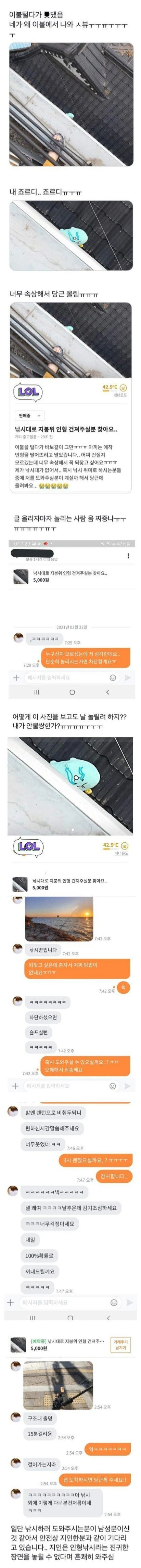 당근마켓 강태공