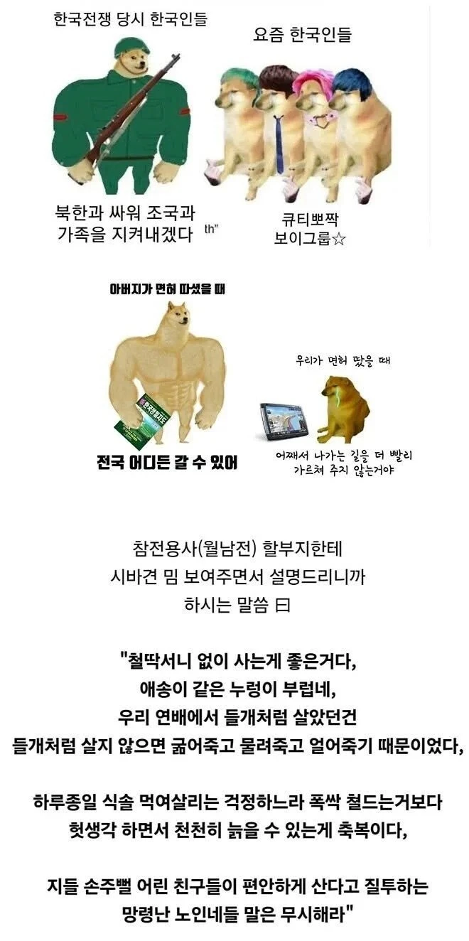 시바견 밈을 본 할아버지.jpg