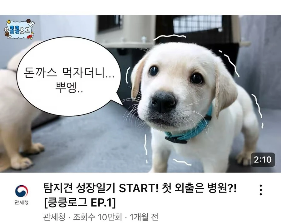 치트키를 쓰며 유튜브 살리기에 힘내는 공공기관_2.jpg