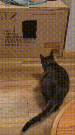 00-1.gif