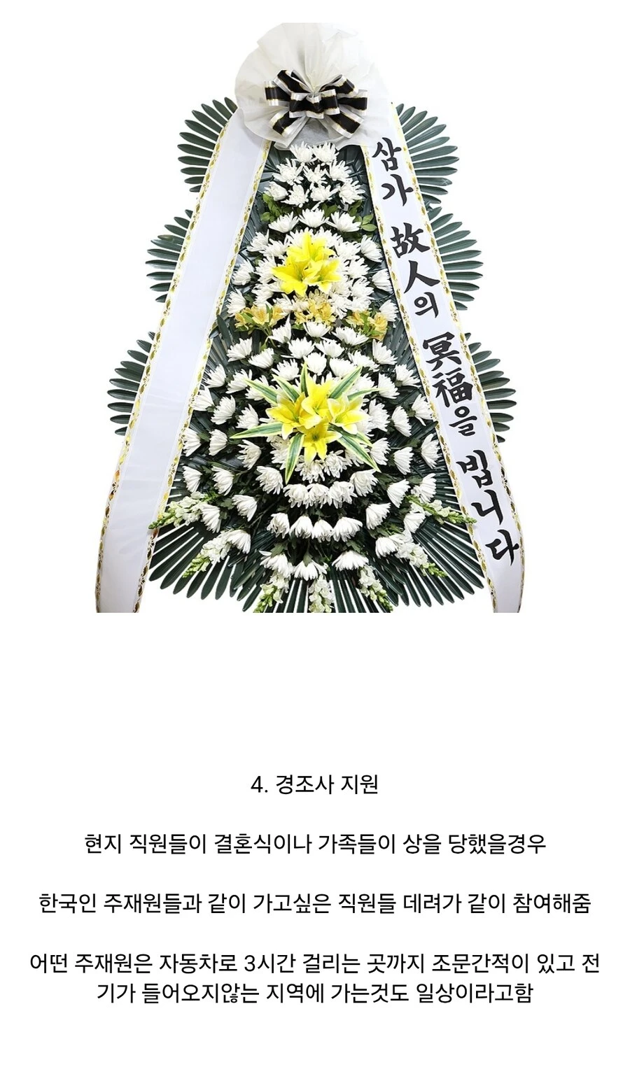 아프리카 세네갈의 국민 기업이 된 한국 기업.jpg_5.jpg
