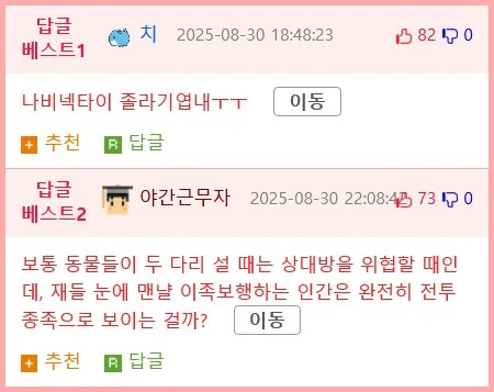 야생 햄스터의 위협 포즈