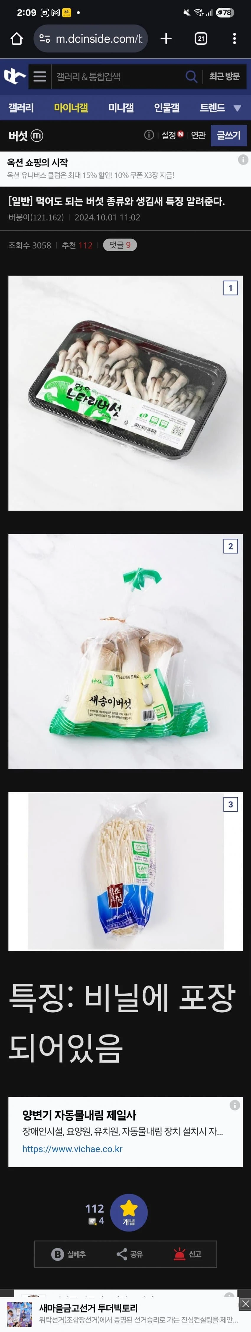 버섯 전문가가 알려준 식용버섯 구분법