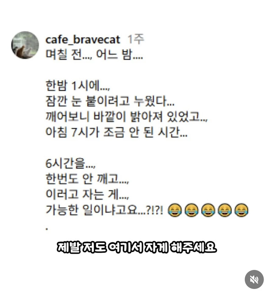 고양이 쉼터에서 6시간 잔 사람_5.jpg