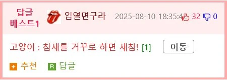 너무 어려서 먹잇감의 개념이 없는 고앵이