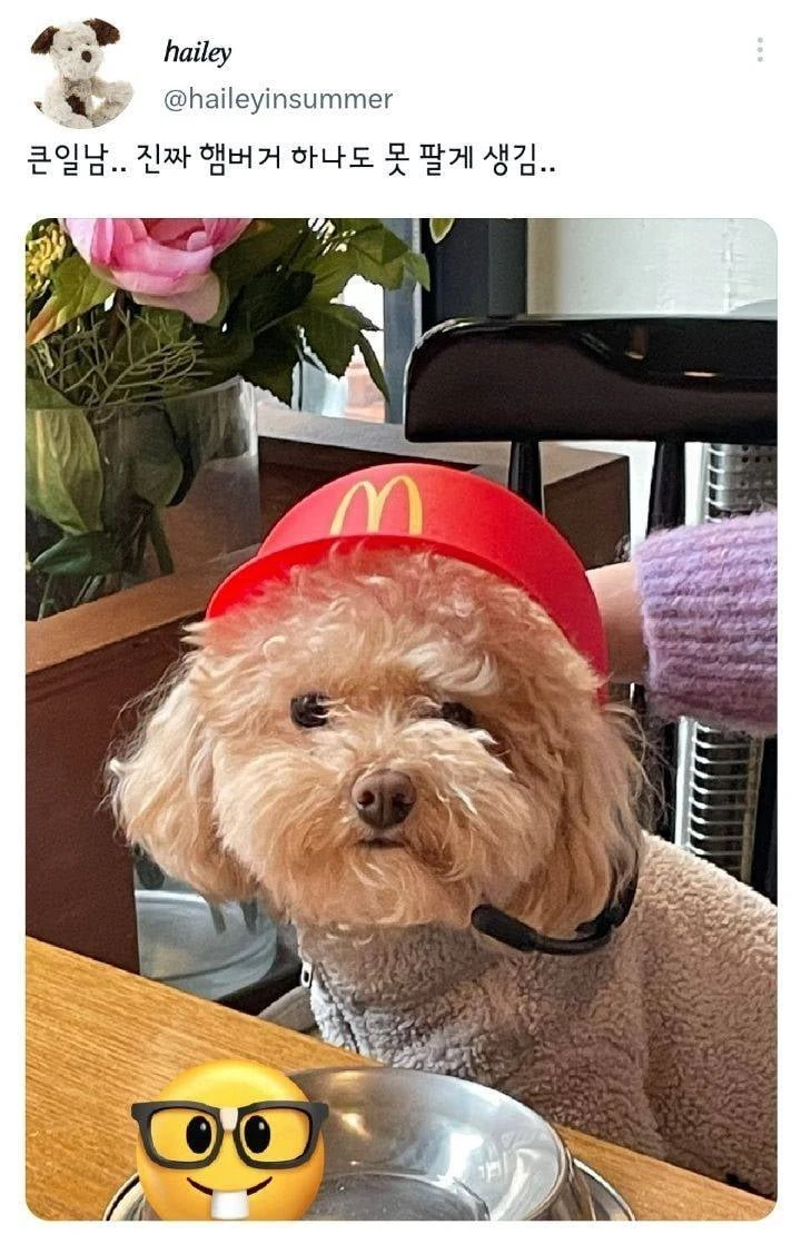 진짜 햄버거 하나도 못 팔게 생김