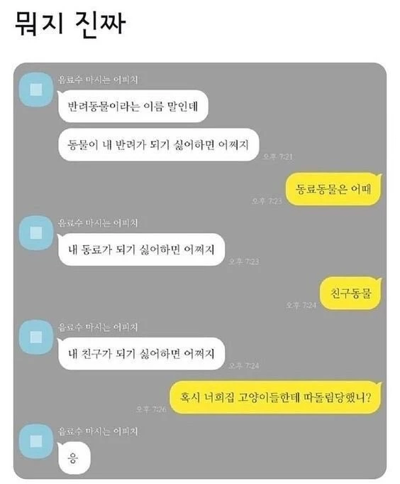 반려동물이라는 이름 말인데