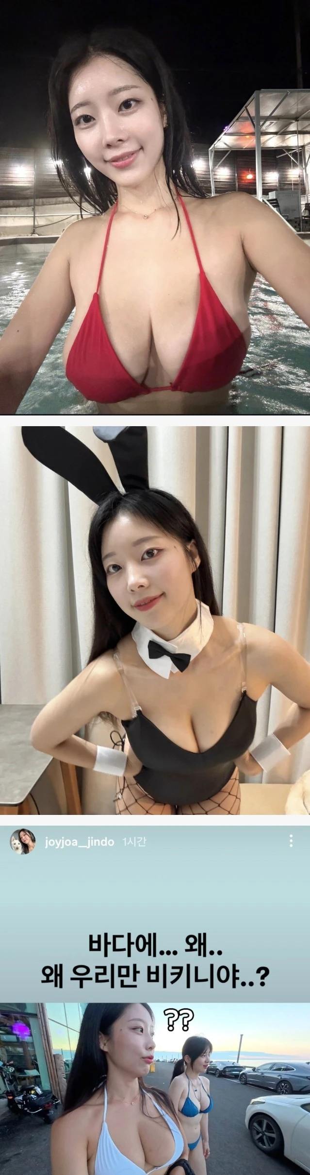 다채로운 개조이 비키니