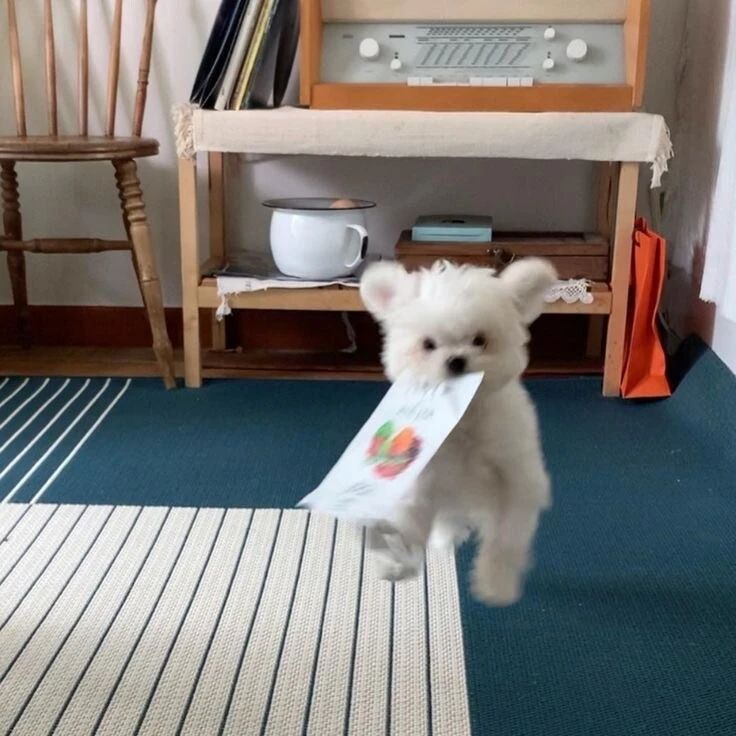 ??? : 쭈인아 이것좀 뜯어주라.JPG_5.jpg