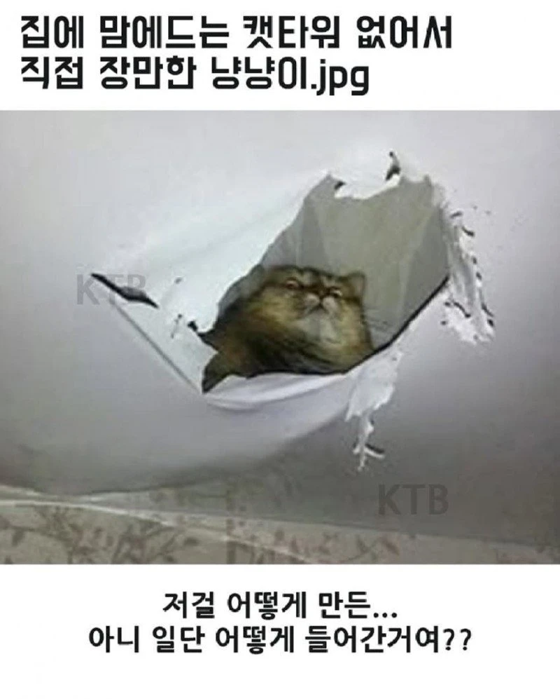 02.jpg