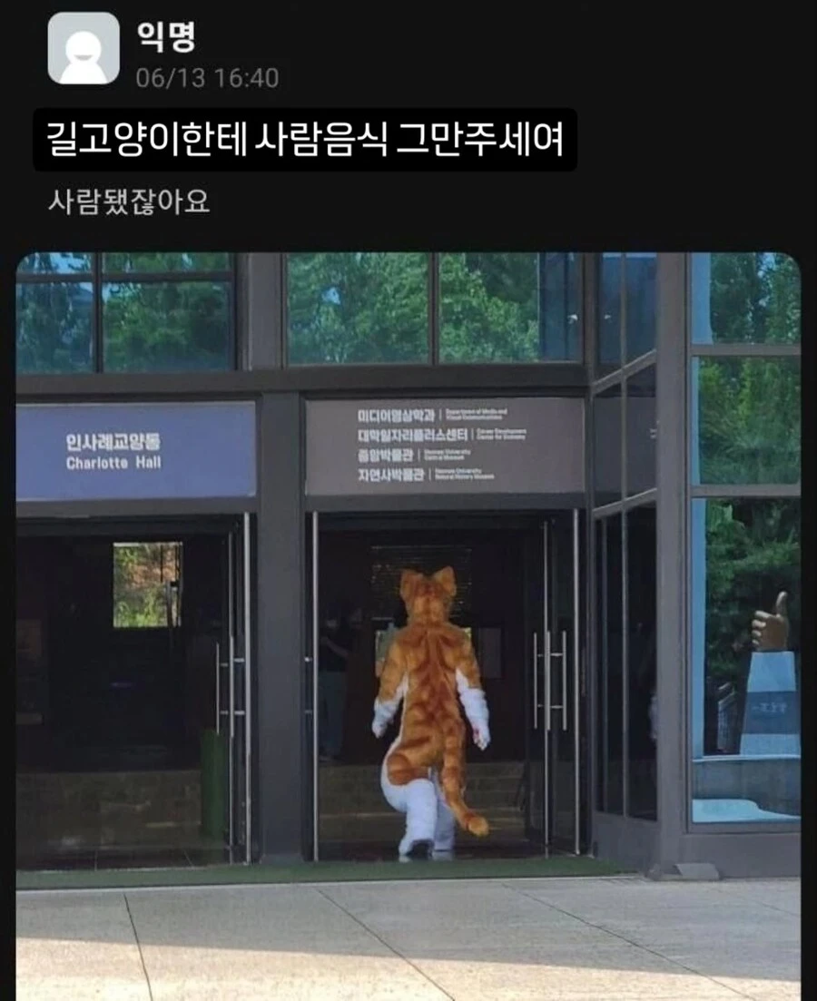 길고양이한테 사람음식 막 주면 안되는 이유