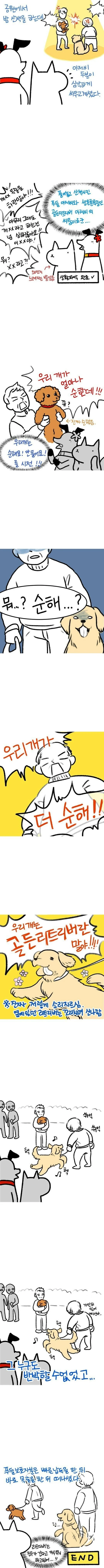 골든리트리버 주인아저씨의 분노
