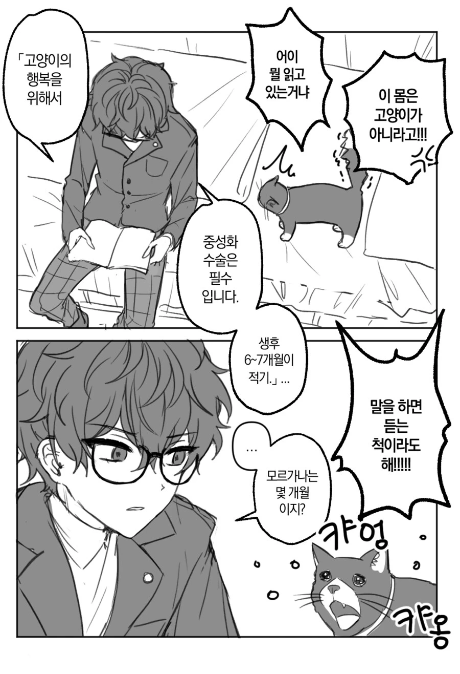 고양이 성불구자 만들기