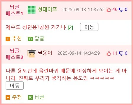 ㅇㅎ) 외국인도 뿅가는 K-체험