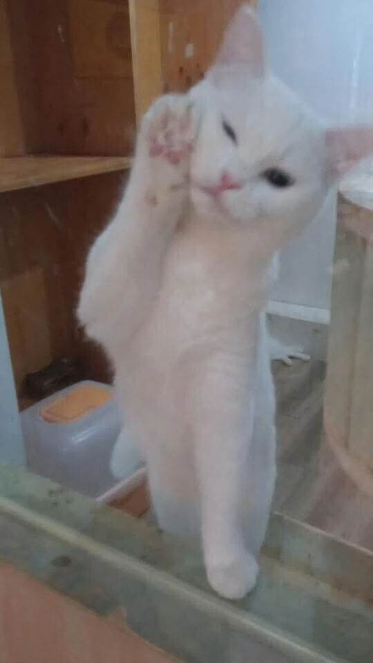 내가 찍었던 인생 때껄룩 사진이다..