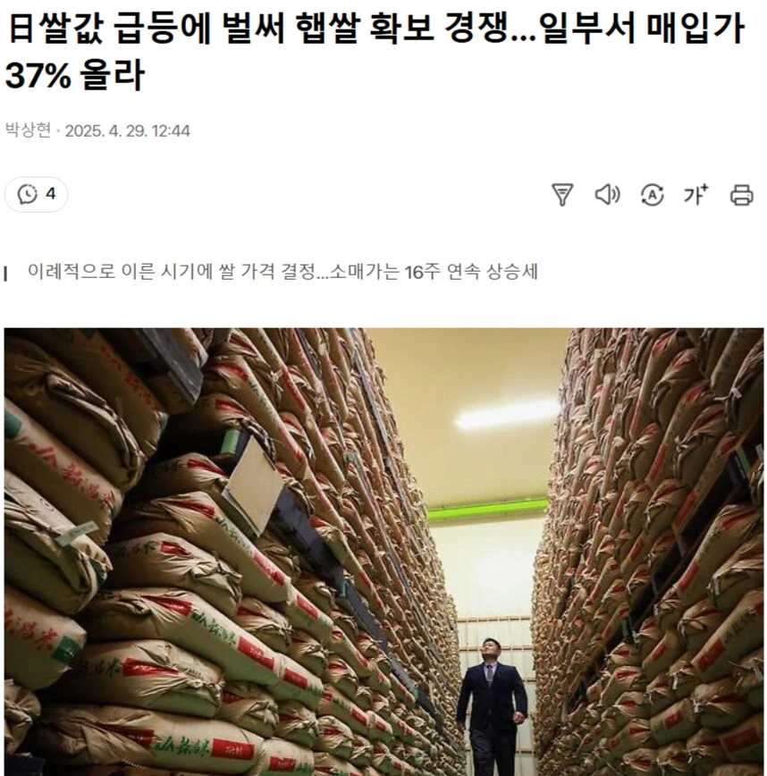 일본 쌀값 근황