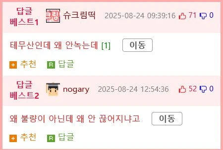 ㅇㅎ) 테무산 비키니