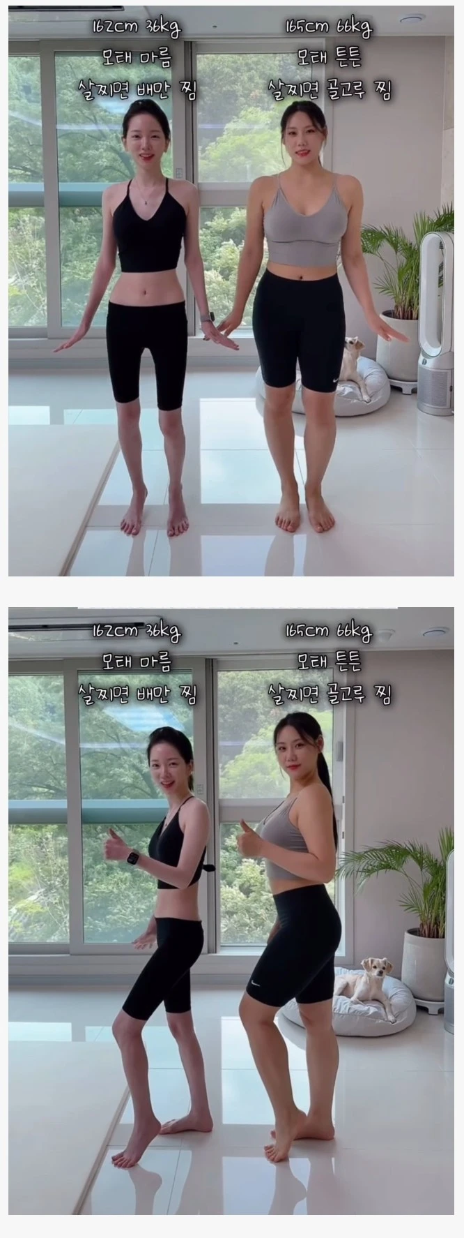 162cm / 36kg녀 vs 165cm / 66kg녀