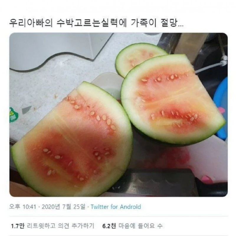 아빠의 수박고르기 실력
