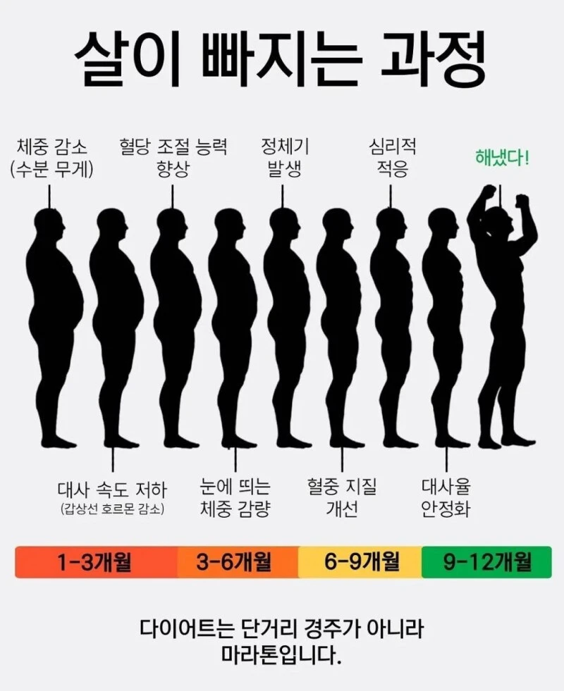 살이 빠지는 과정