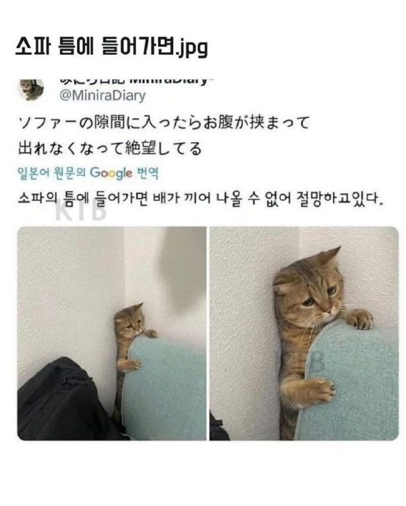 05.jpg