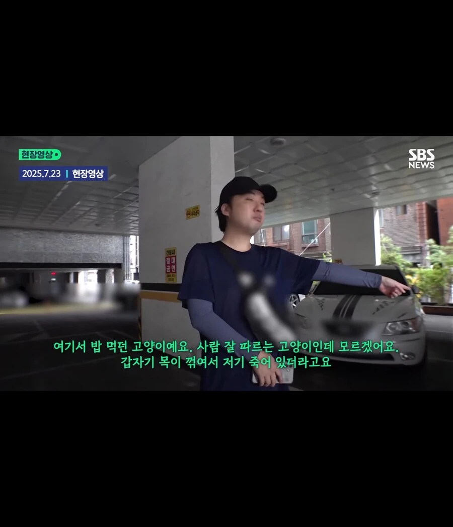 고양이가 할퀴어서 화가나 고양이를 죽인 남성_11.jpg