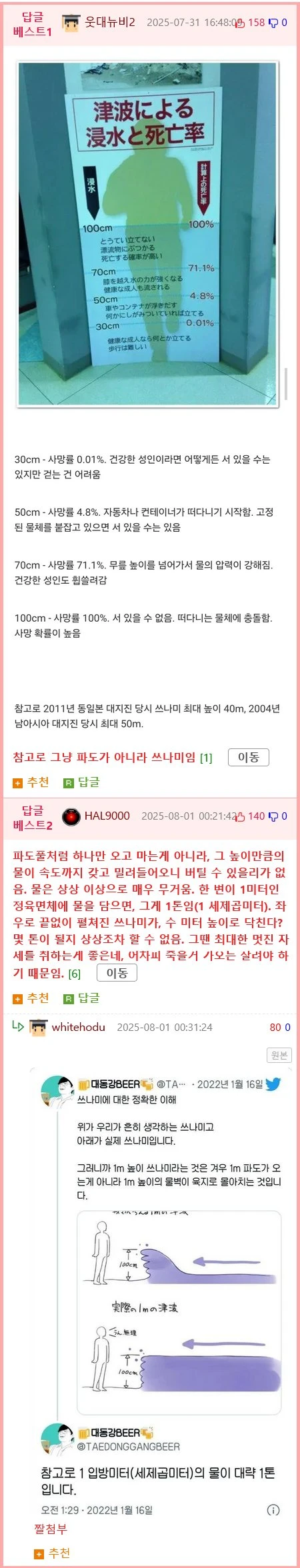 30cm 쓰나미 vs 사람